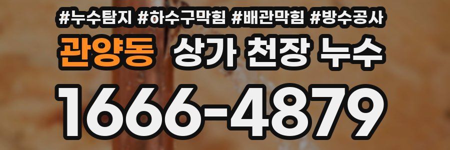 관양동 상가 천장 누수