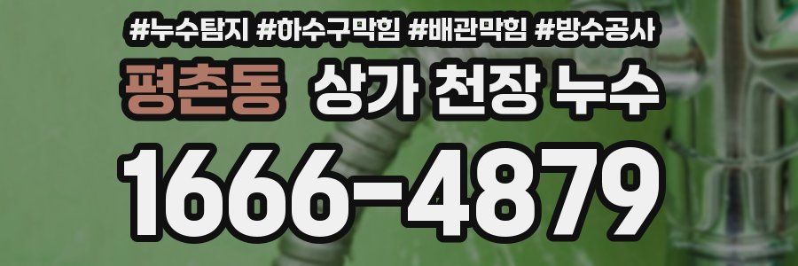 평촌동 상가 천장 누수