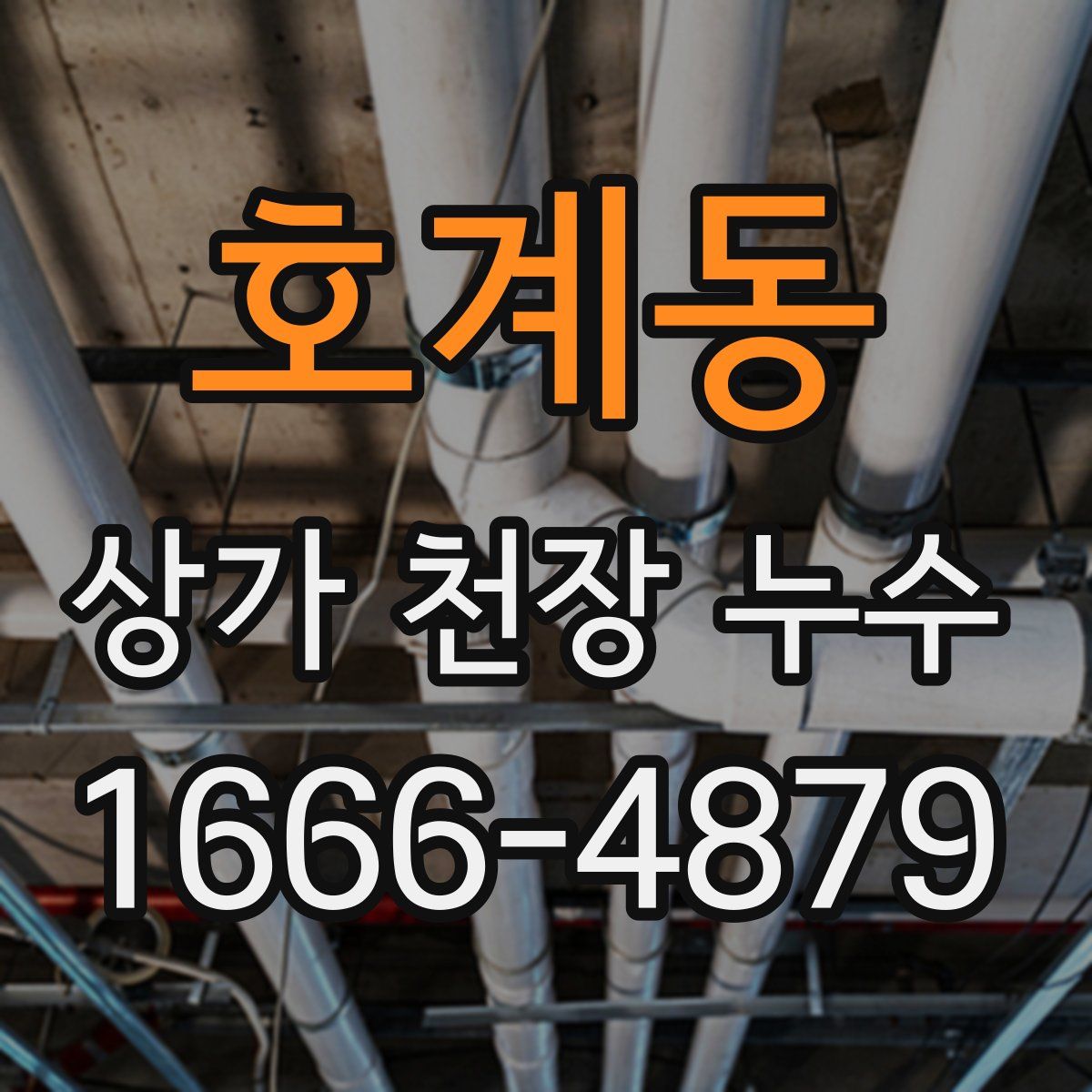 호계동 상가 천장 누수