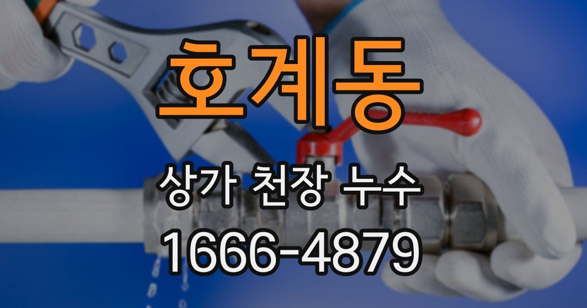 호계동 상가 천장 누수