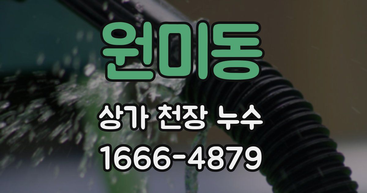 원미동 상가 천장 누수