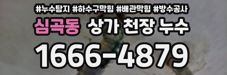 심곡동 상가 천장 누수