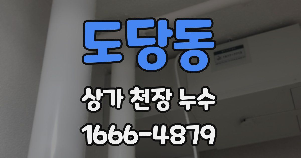 도당동 상가 천장 누수