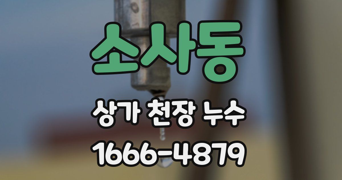 소사동 상가 천장 누수
