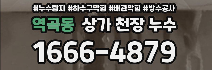 역곡동 상가 천장 누수