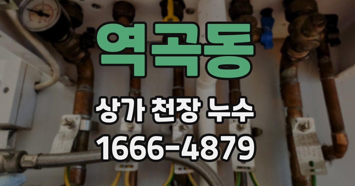 역곡동 상가 천장 누수