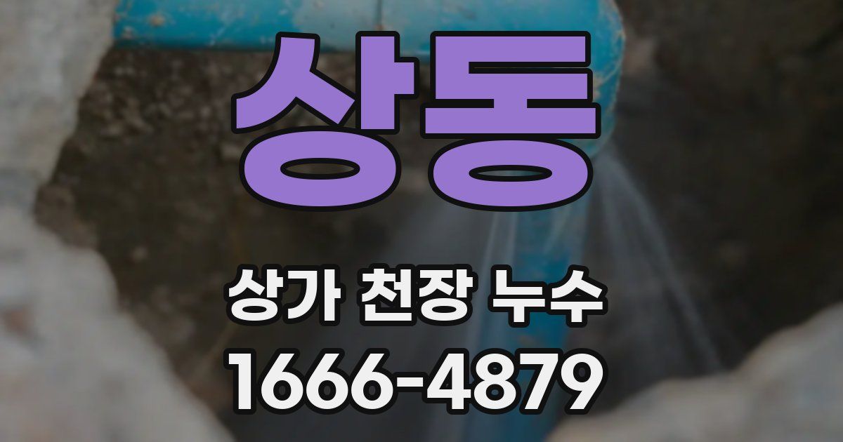 상동 상가 천장 누수