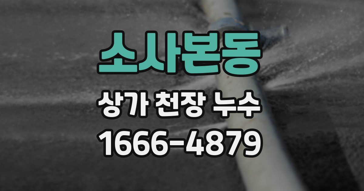 소사본동 상가 천장 누수