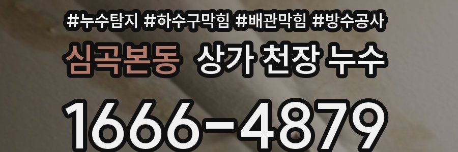 심곡본동 상가 천장 누수