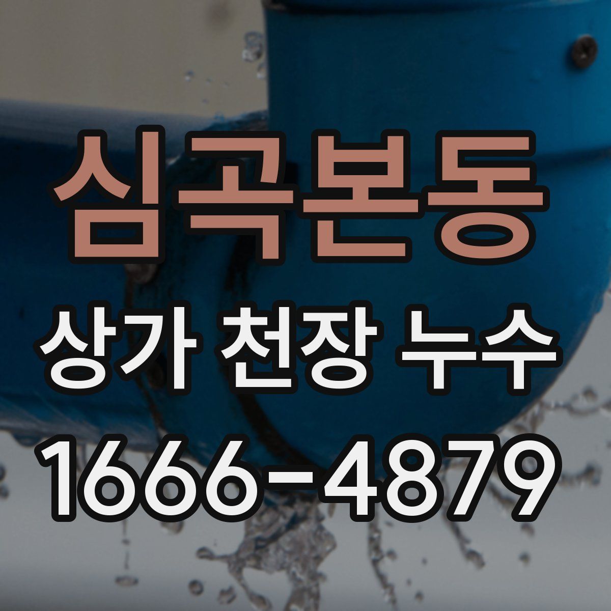 심곡본동 상가 천장 누수