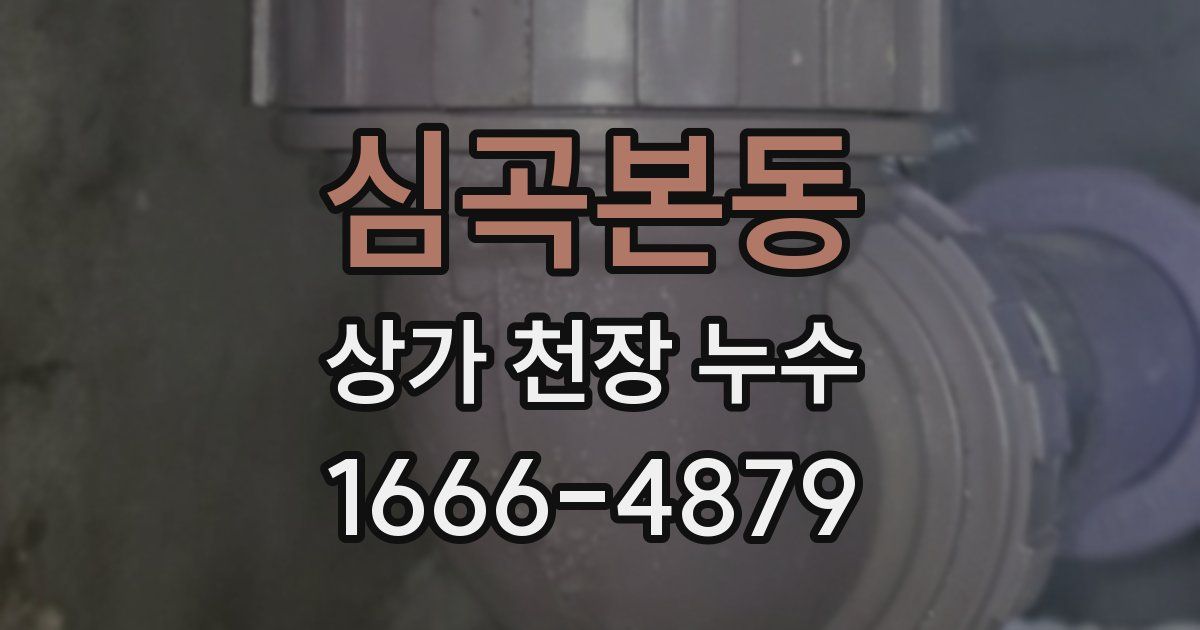 심곡본동 상가 천장 누수