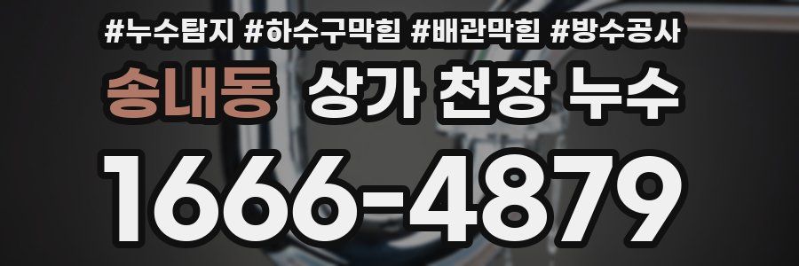 송내동 상가 천장 누수