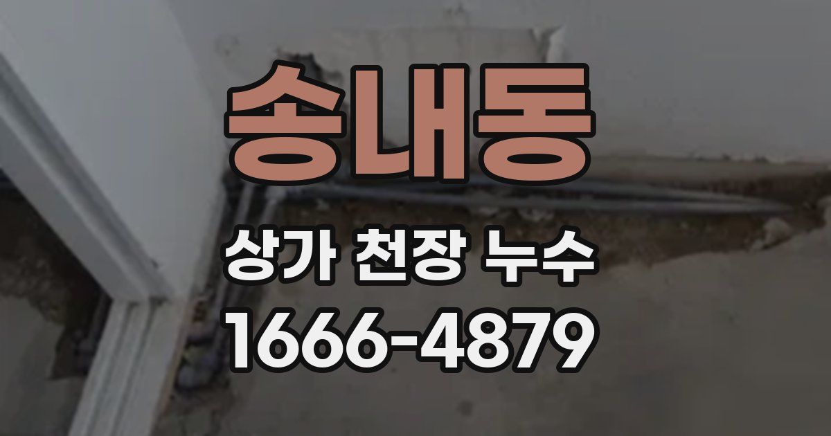 송내동 상가 천장 누수