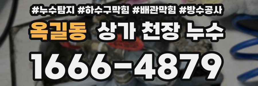 옥길동 상가 천장 누수