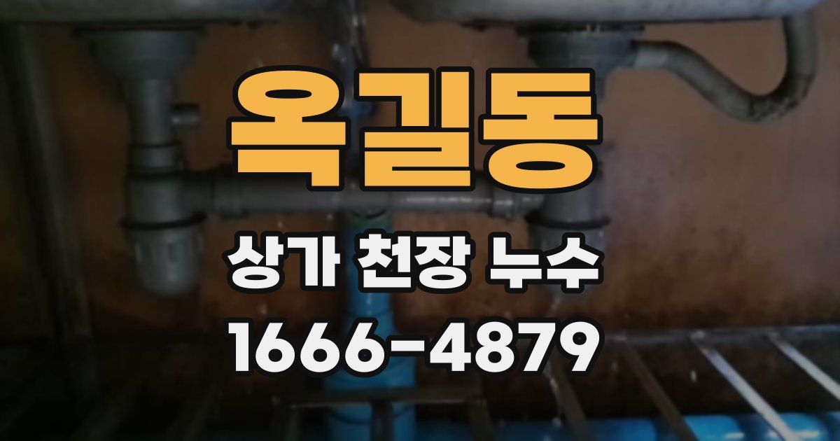 옥길동 상가 천장 누수
