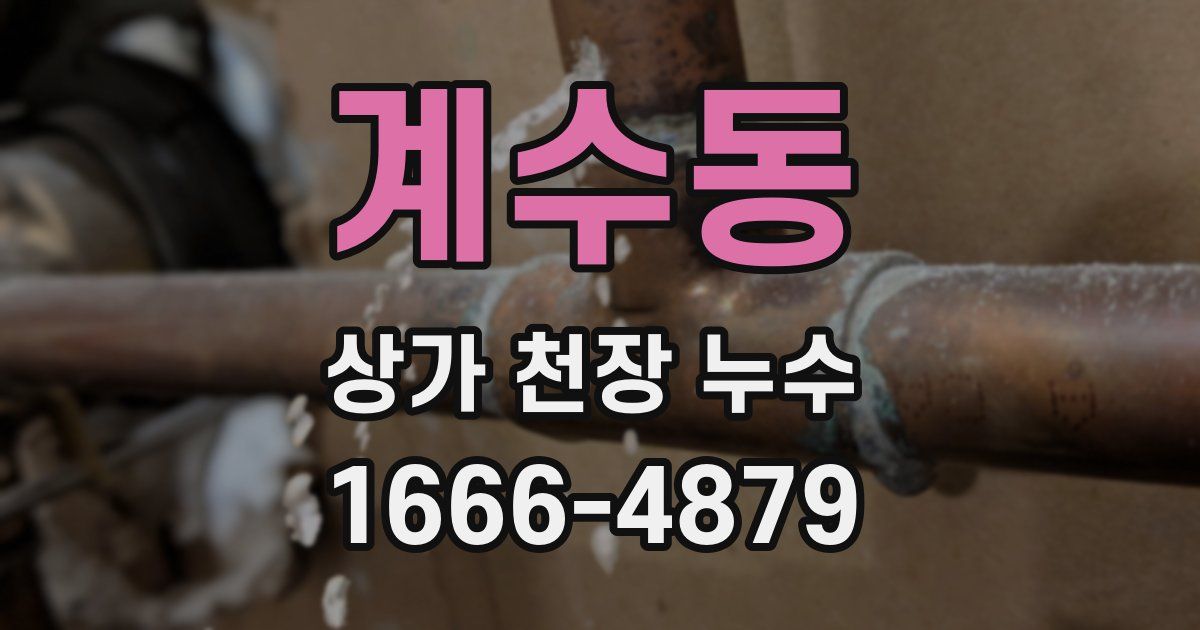 계수동 상가 천장 누수