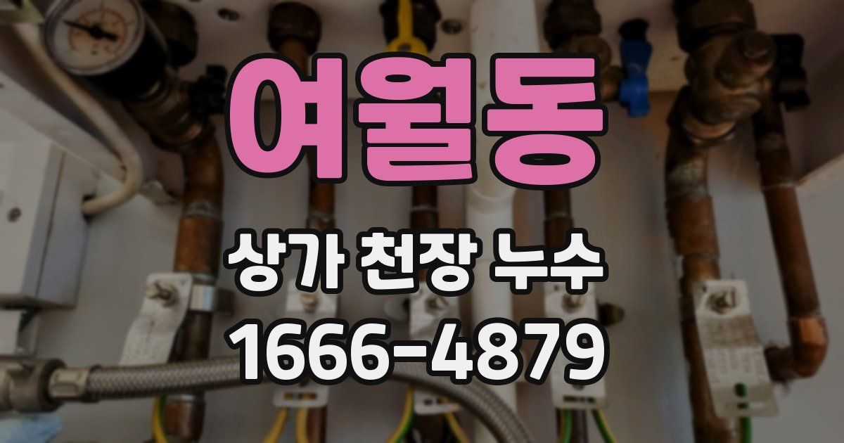 여월동 상가 천장 누수