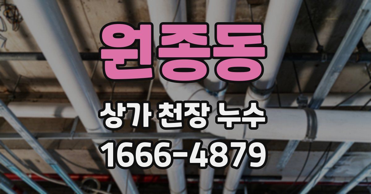 원종동 상가 천장 누수