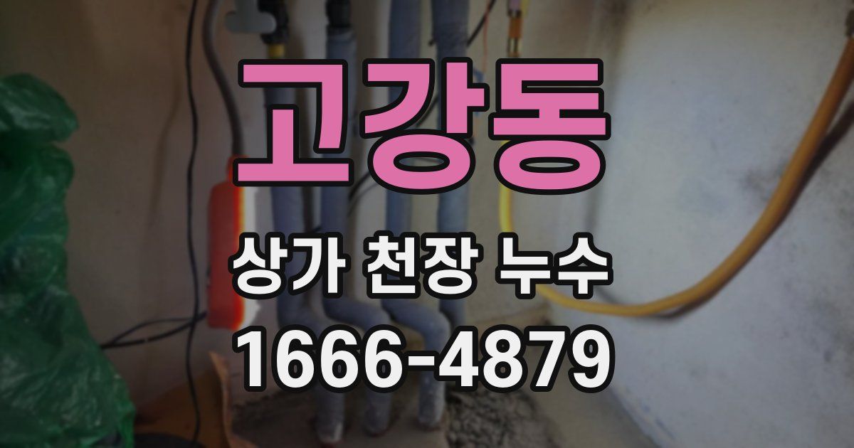 고강동 상가 천장 누수