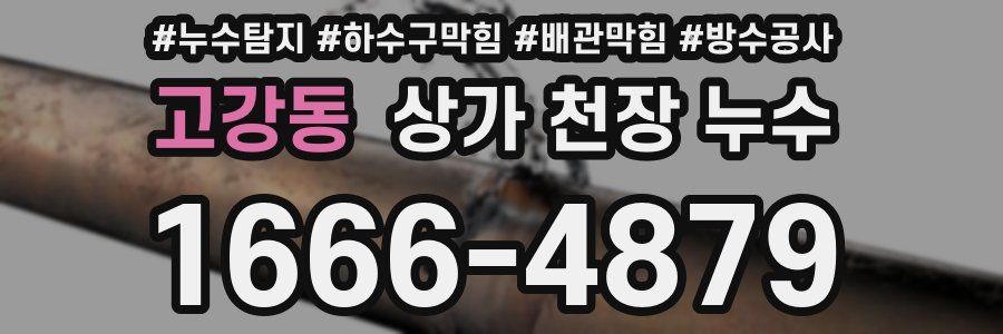 고강동 상가 천장 누수