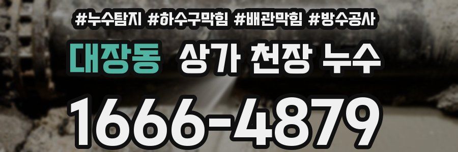 대장동 상가 천장 누수