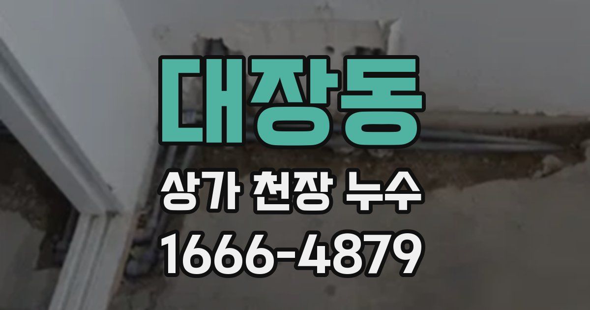 대장동 상가 천장 누수