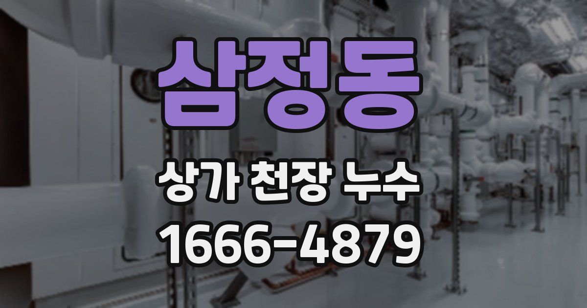 삼정동 상가 천장 누수