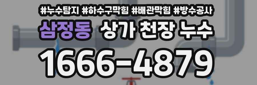 삼정동 상가 천장 누수