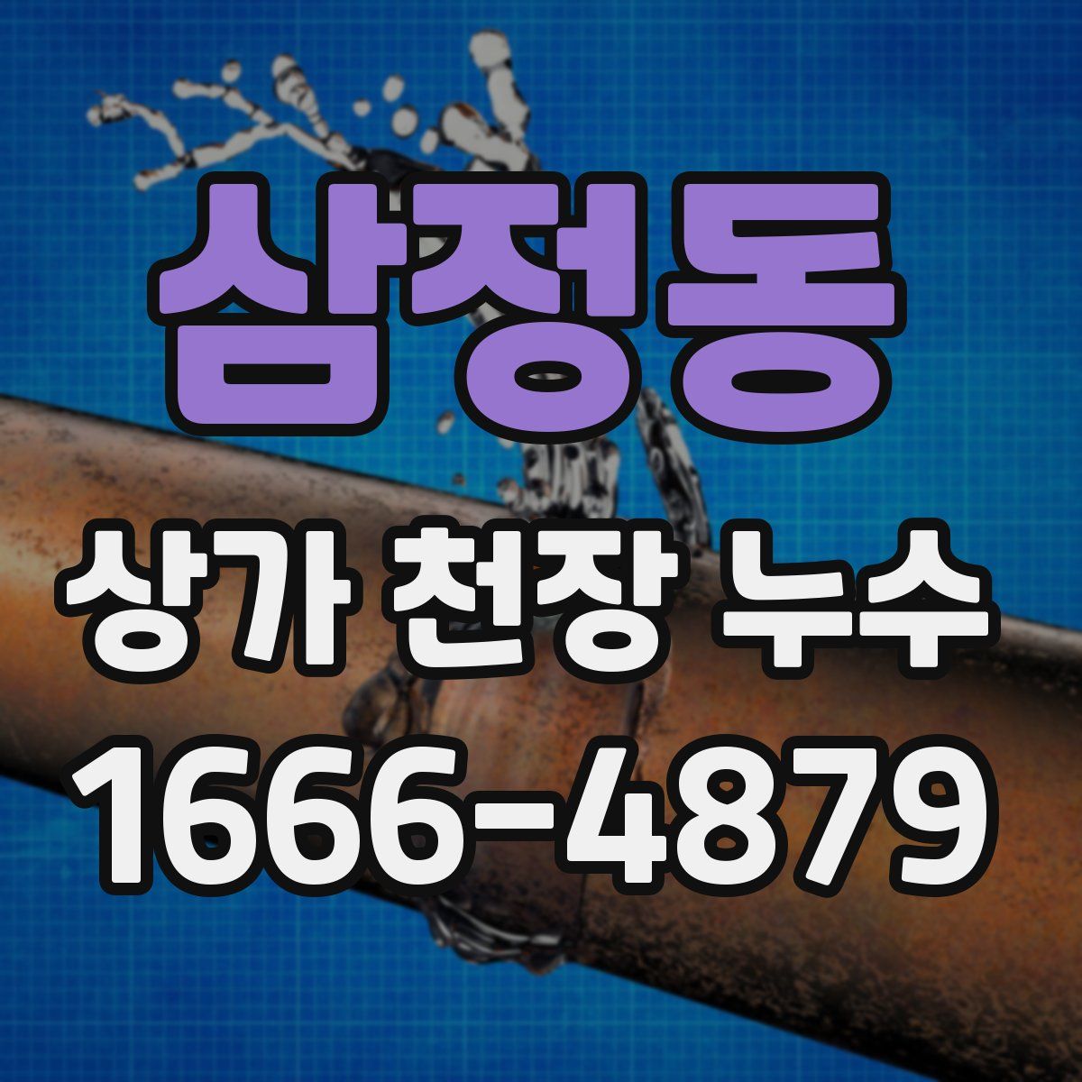 삼정동 상가 천장 누수
