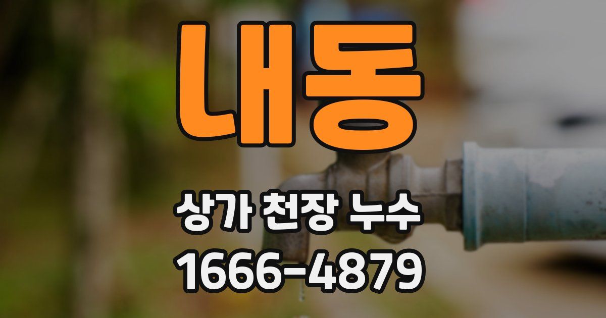 내동 상가 천장 누수