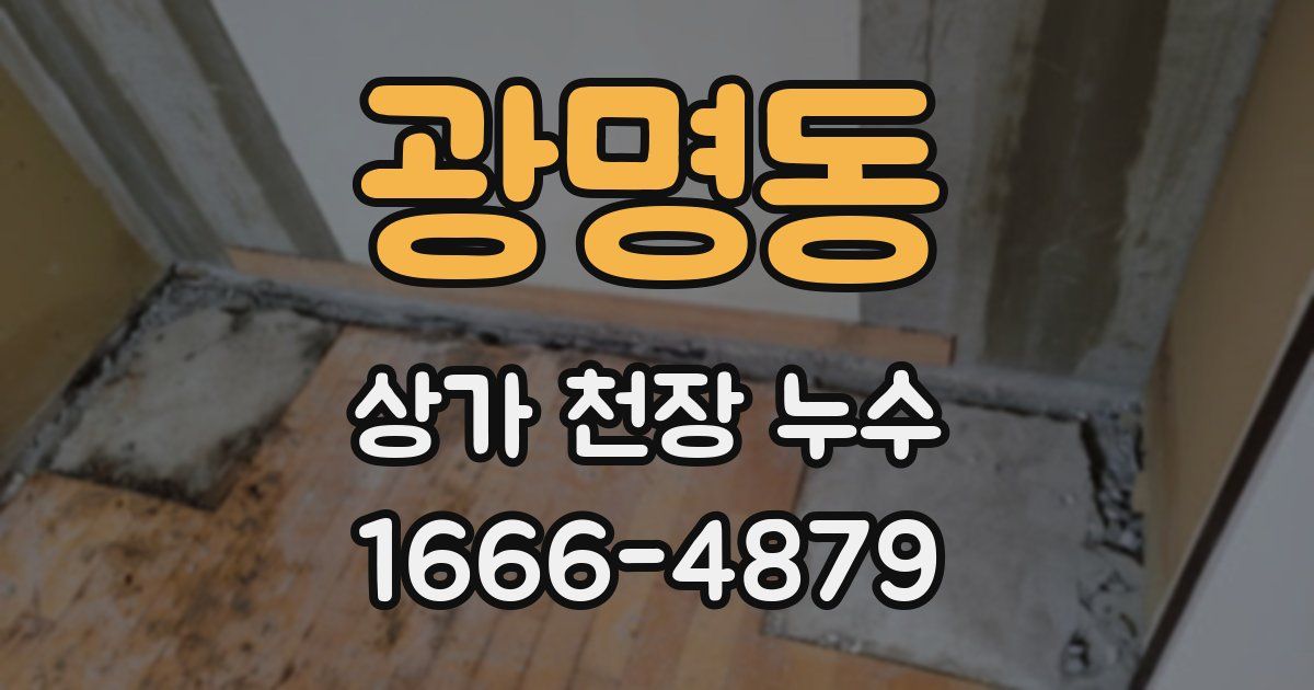 광명동 상가 천장 누수