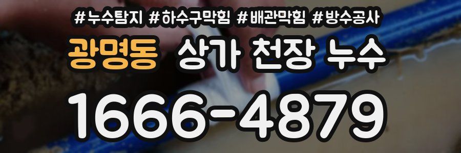 광명동 상가 천장 누수