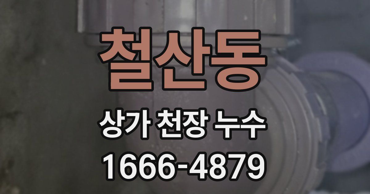 철산동 상가 천장 누수