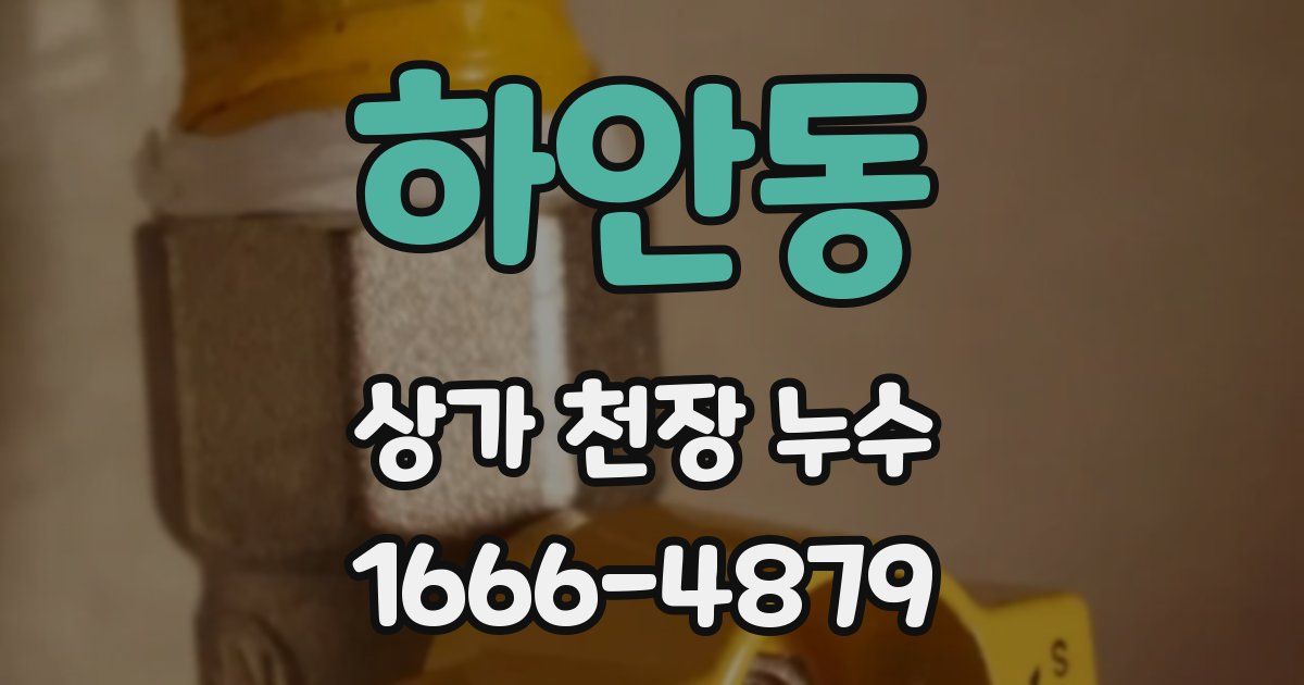 하안동 상가 천장 누수