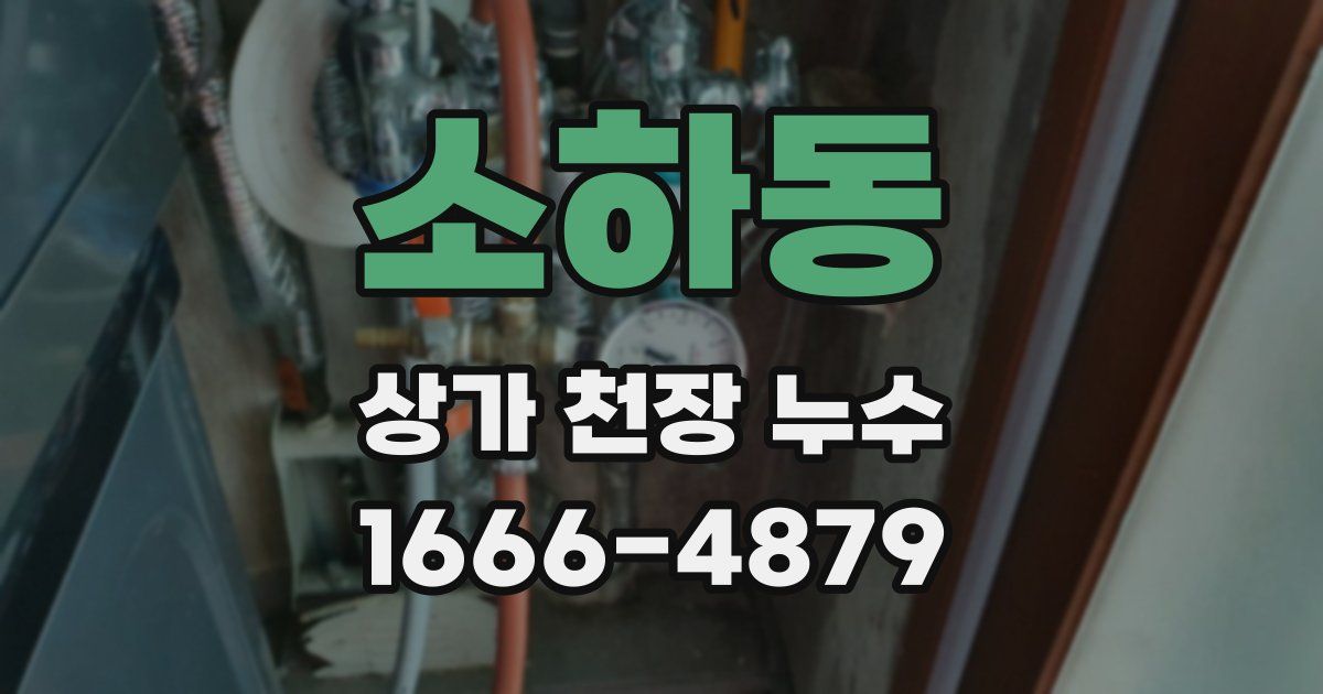 소하동 상가 천장 누수
