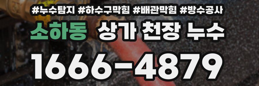 소하동 상가 천장 누수