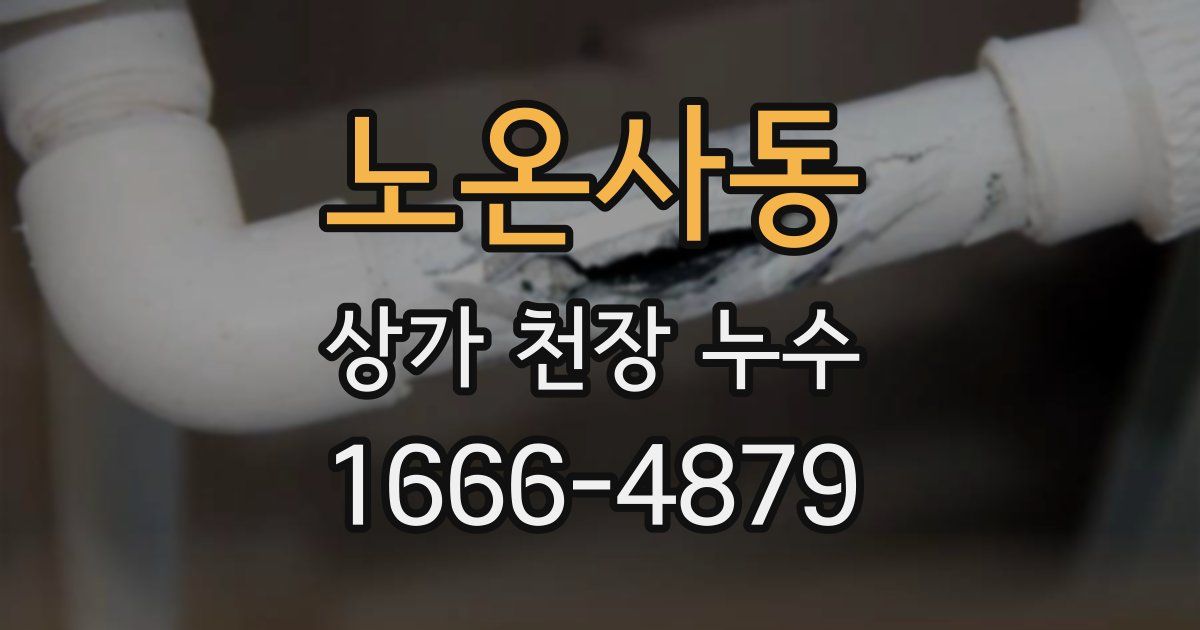 노온사동 상가 천장 누수