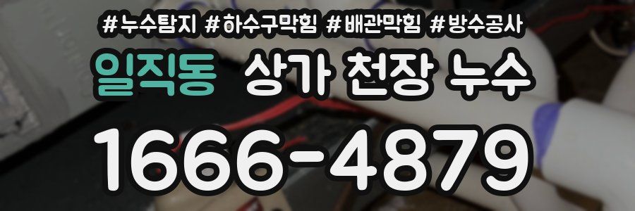일직동 상가 천장 누수