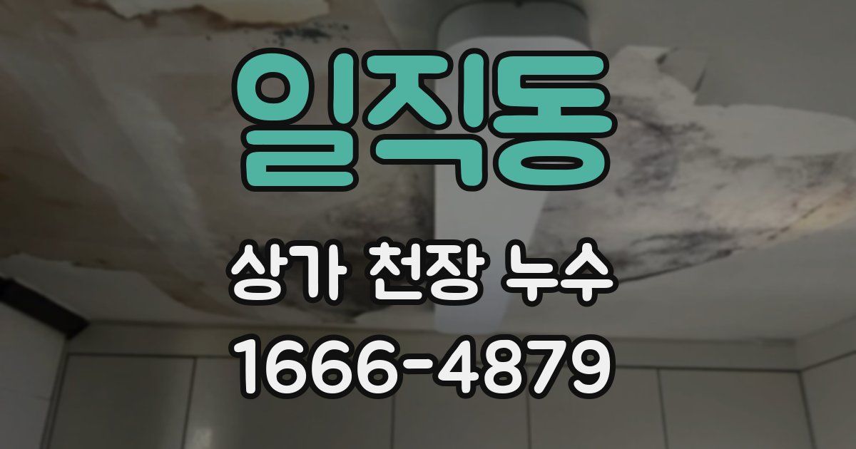 일직동 상가 천장 누수