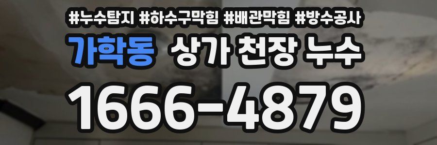 가학동 상가 천장 누수