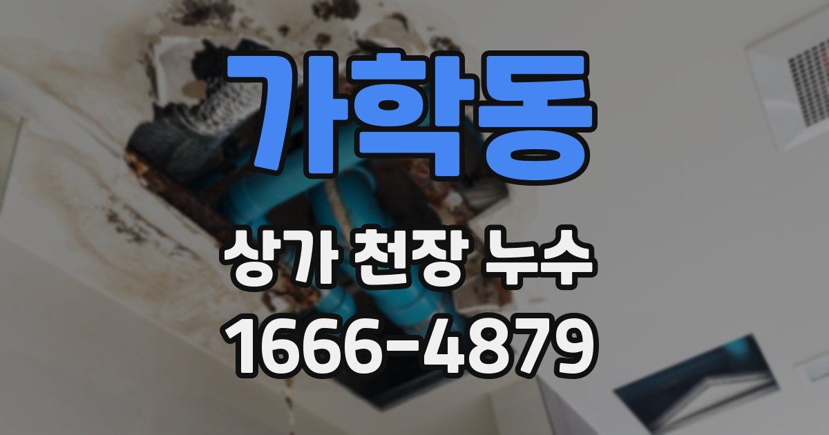 가학동 상가 천장 누수