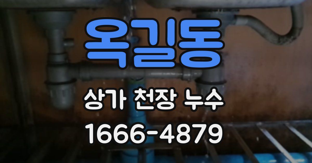 옥길동 상가 천장 누수