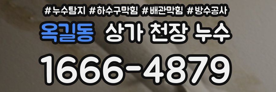 옥길동 상가 천장 누수