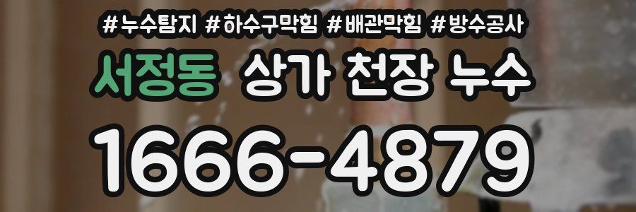 서정동 상가 천장 누수
