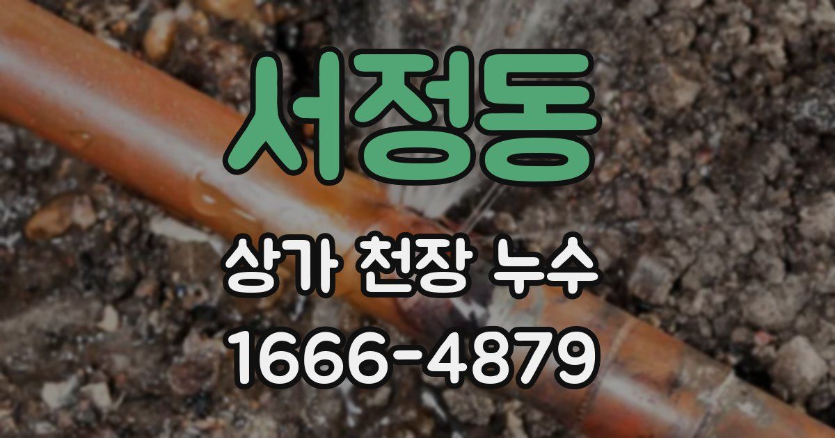 서정동 상가 천장 누수