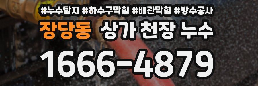 장당동 상가 천장 누수