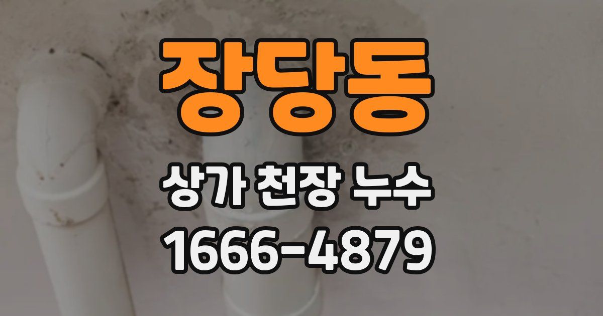 장당동 상가 천장 누수
