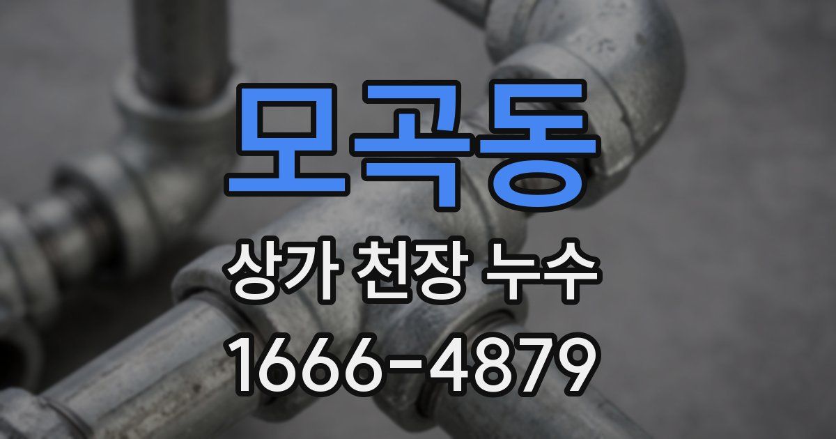 모곡동 상가 천장 누수