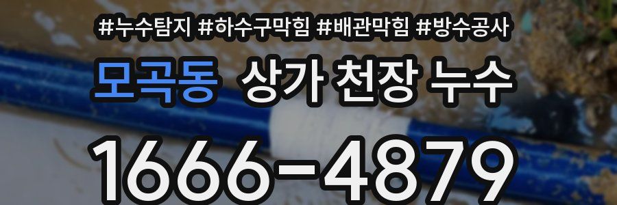 모곡동 상가 천장 누수