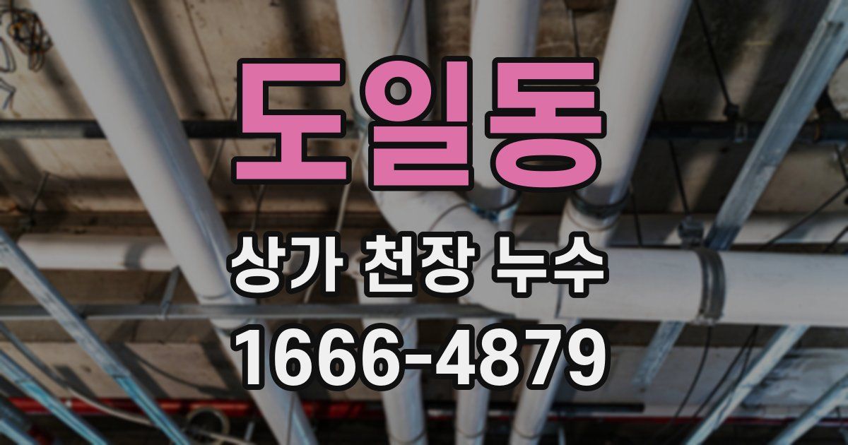 도일동 상가 천장 누수
